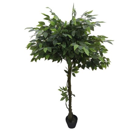 Vaser Designs 63 in. Glossy Banyan VA3014694